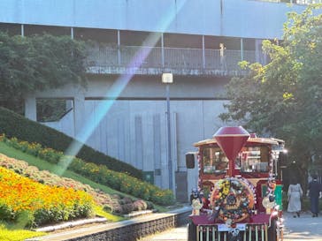 ぎふワールド・ローズガーデンに投稿された画像（2024/10/12）