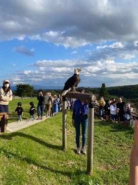 那須どうぶつ王国に投稿された画像（2024/10/12）