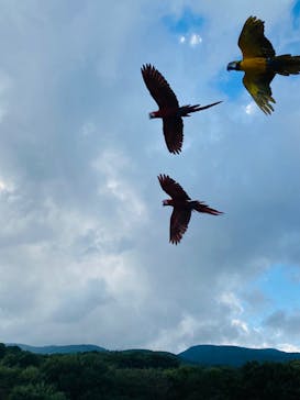 那須どうぶつ王国に投稿された画像（2024/10/12）