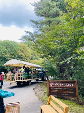 那須どうぶつ王国に投稿された画像（2024/10/12）