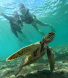 nico 宮古島に投稿された画像（2024/10/12）