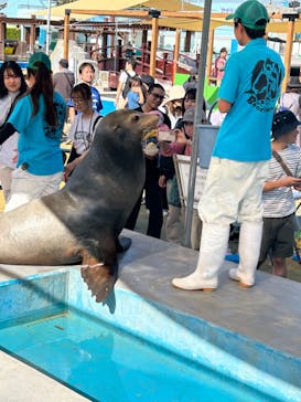 南知多ビーチランド＆南知多おもちゃ王国に投稿された画像（2024/10/12）