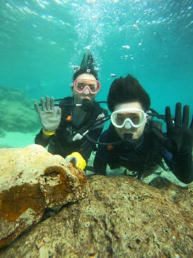 武藤潜水に投稿された画像（2024/10/12）