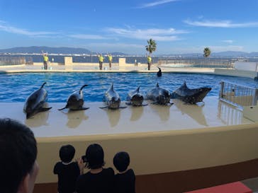 マリンワールド海の中道に投稿された画像（2024/10/12）