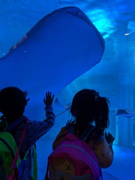 のとじま水族館に投稿された画像（2024/10/12）