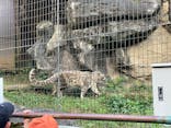 多摩動物公園に投稿された画像（2024/10/12）