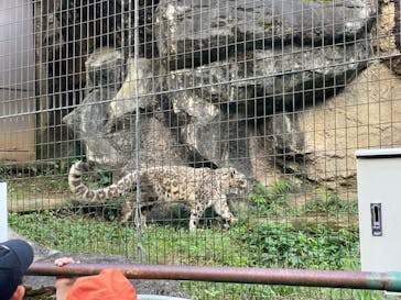 多摩動物公園に投稿された画像（2024/10/12）
