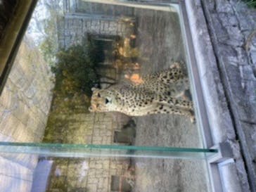 多摩動物公園に投稿された画像（2024/10/12）