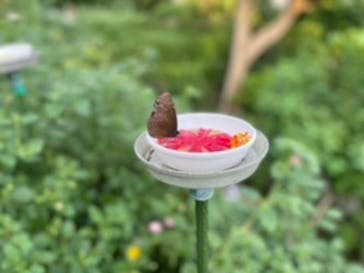 多摩動物公園に投稿された画像（2024/10/12）