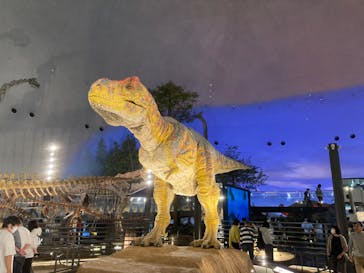 福井県立恐竜博物館に投稿された画像（2024/10/12）