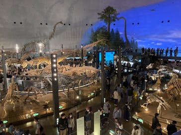 福井県立恐竜博物館に投稿された画像（2024/10/12）
