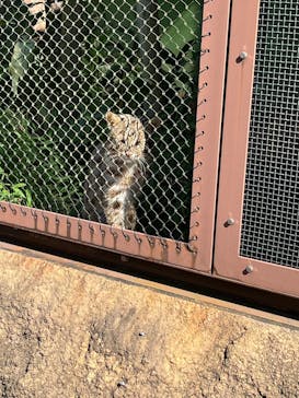 名古屋市東山動植物園に投稿された画像（2024/10/12）