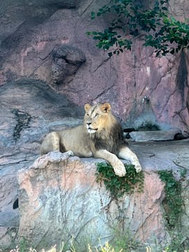 名古屋市東山動植物園に投稿された画像（2024/10/12）