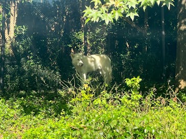 名古屋市東山動植物園に投稿された画像（2024/10/12）