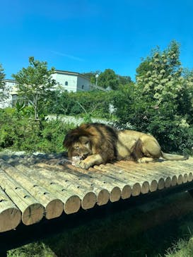 多摩動物公園に投稿された画像（2024/10/12）