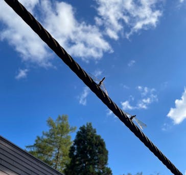 忍者の里　チビッ子忍者村に投稿された画像（2024/10/12）