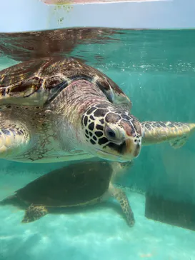 仙台うみの杜水族館に投稿された画像（2024/10/12）