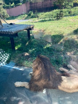 多摩動物公園に投稿された画像（2024/10/12）