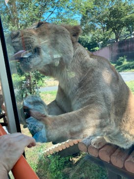 多摩動物公園に投稿された画像（2024/10/12）