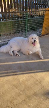 しろとり動物園に投稿された画像（2024/10/12）