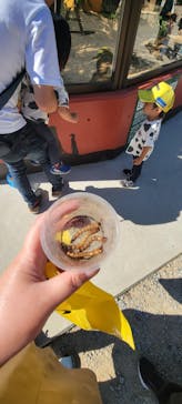 しろとり動物園に投稿された画像（2024/10/12）