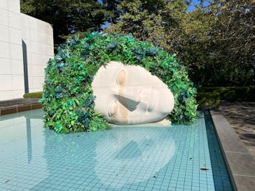 彫刻の森美術館に投稿された画像（2024/10/12）