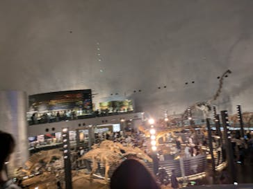 福井県立恐竜博物館に投稿された画像（2024/10/12）