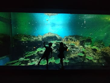アクアワールド茨城県大洗水族館に投稿された画像（2024/10/12）