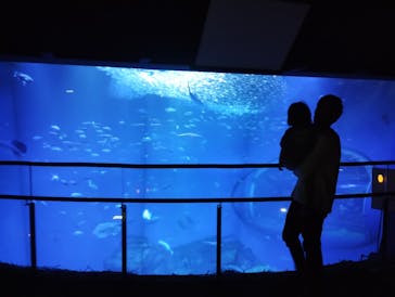 アクアワールド茨城県大洗水族館に投稿された画像（2024/10/12）