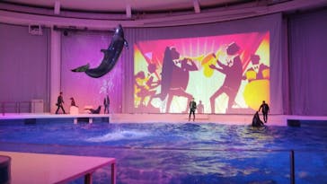 アクアワールド茨城県大洗水族館に投稿された画像（2024/10/12）