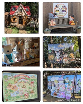 こもれび森のイバライド（旧：ポティロンの森）に投稿された画像（2024/10/12）