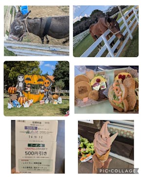 こもれび森のイバライド（旧：ポティロンの森）に投稿された画像（2024/10/12）