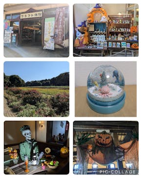 こもれび森のイバライド（旧：ポティロンの森）に投稿された画像（2024/10/12）