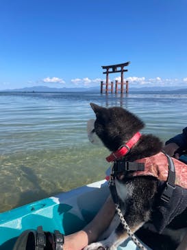 GOODTIMES 白ひげ浜店に投稿された画像（2024/10/12）