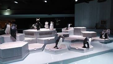 AOAO SAPPOROに投稿された画像（2024/10/12）