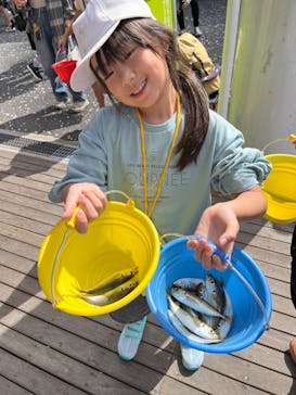 城崎マリンワールドに投稿された画像（2024/10/12）