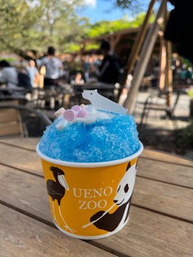 恩賜上野動物園に投稿された画像（2024/10/12）