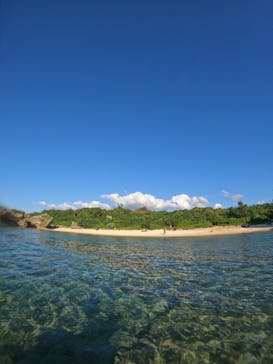 武藤潜水に投稿された画像（2024/10/12）