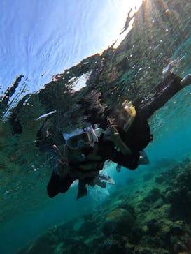 武藤潜水に投稿された画像（2024/10/12）