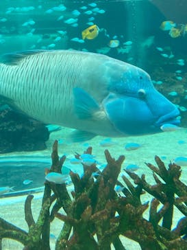 鴨川シーワールドに投稿された画像（2024/10/12）