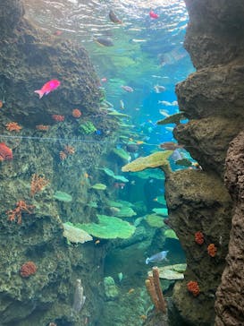 鴨川シーワールドに投稿された画像（2024/10/12）