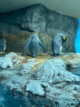 鴨川シーワールドに投稿された画像（2024/10/12）