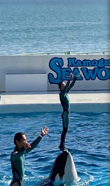 鴨川シーワールドに投稿された画像（2024/10/12）