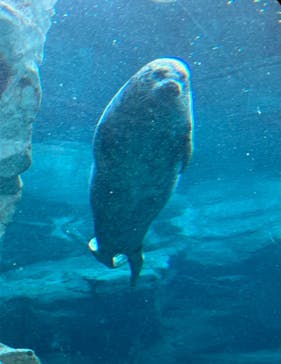 鴨川シーワールドに投稿された画像（2024/10/12）