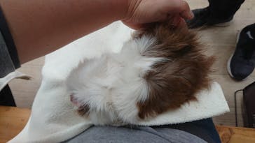 成田ゆめ牧場に投稿された画像（2024/10/12）