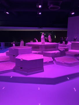 AOAO SAPPOROに投稿された画像（2024/10/12）