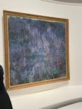 モネ 睡蓮のとき（国立西洋美術館）に投稿された画像（2024/10/12）