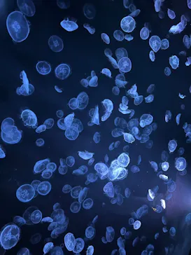 すみだ水族館に投稿された画像（2024/10/12）