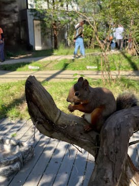 那須どうぶつ王国に投稿された画像（2024/10/12）