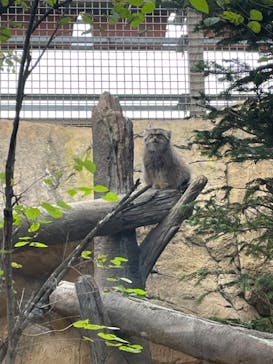 那須どうぶつ王国に投稿された画像（2024/10/12）